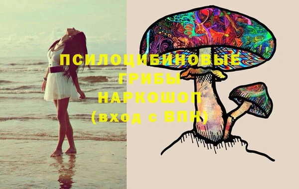 spice Няндома