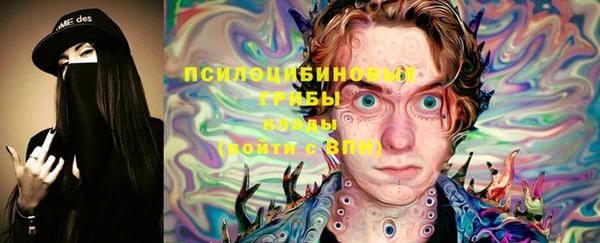 дживик Нягань
