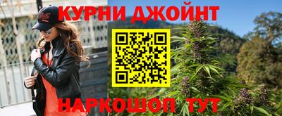 гидра Будённовск