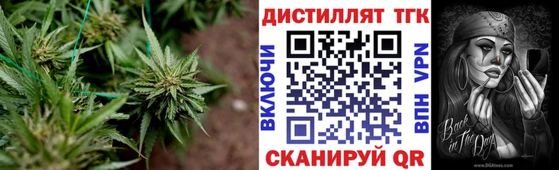 Дистиллят ТГК Wax  где купить   Переславль-Залесский 