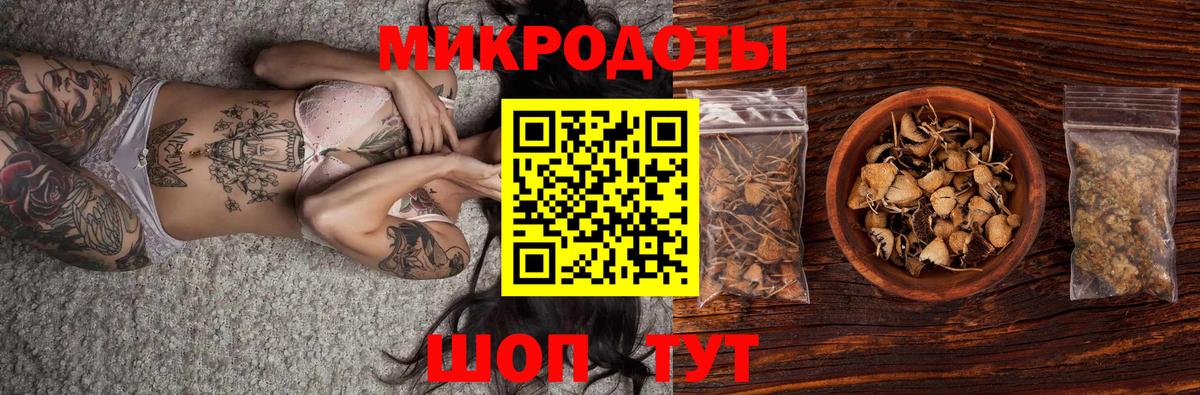 Галлюциногенные грибы Psilocybine cubensis  Переславль-Залесский 