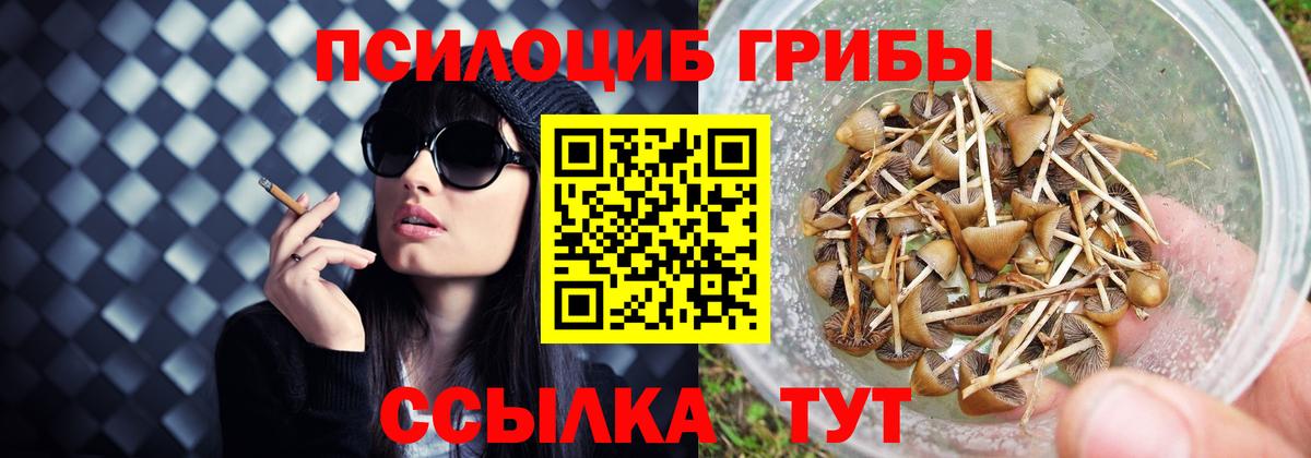 Переславль-Залесский  Псилоцибиновые грибы Magic Shrooms  Галлюциногенные грибы Psilocybine cubensis  Вход с VPN 