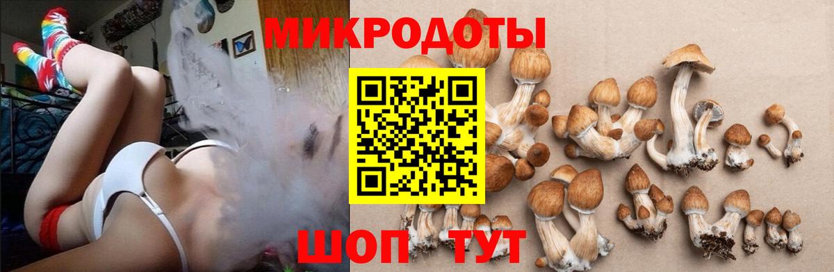 Псилоцибиновые грибы GOLDEN TEACHER Переславль-Залесский
