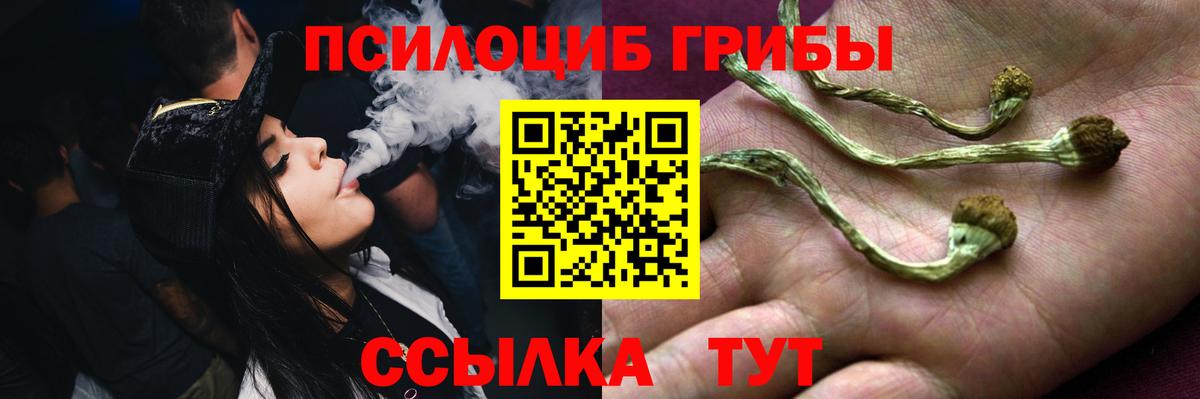 Галлюциногенные грибы MAGIC MUSHROOMS Переславль-Залесский